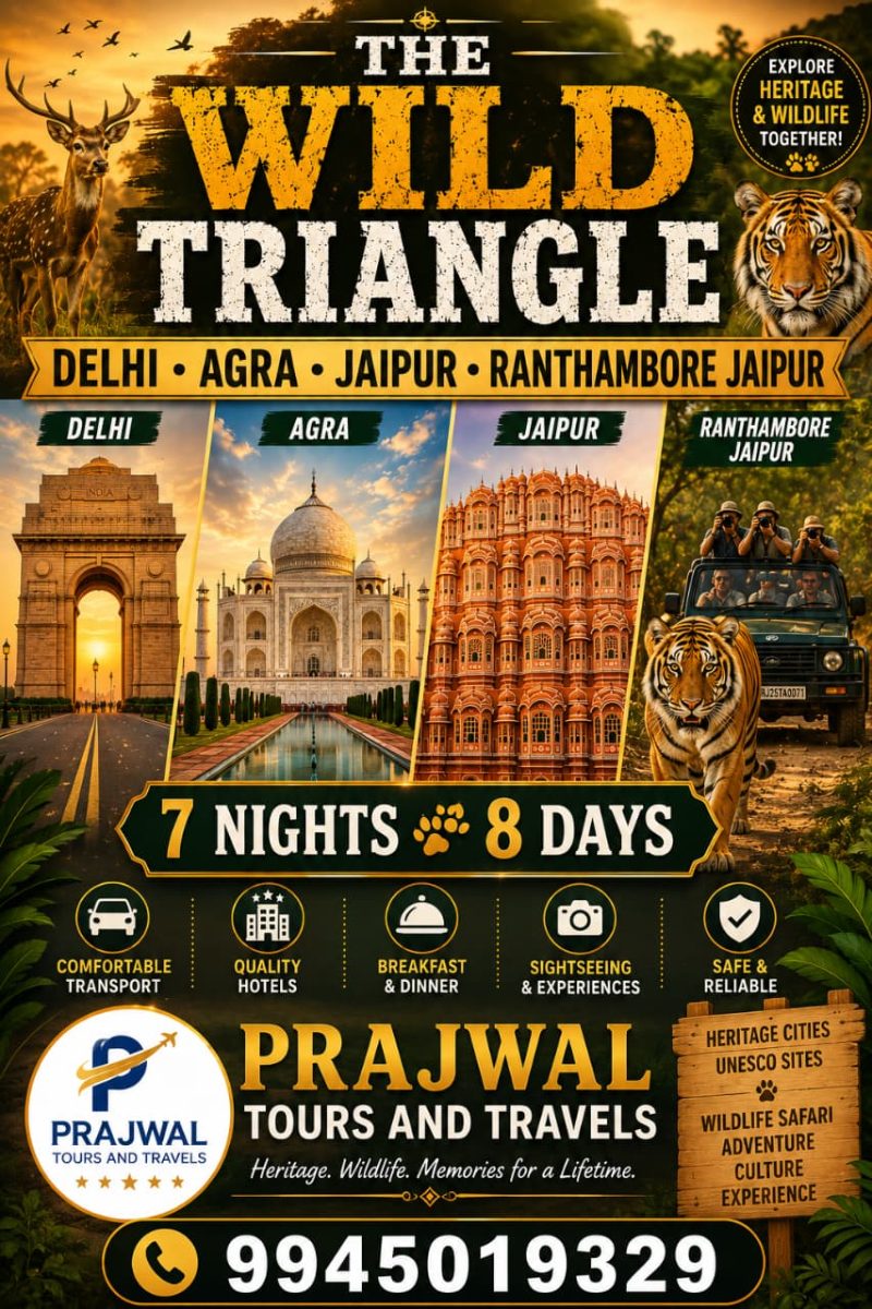 THE WILD TRIANGLE from Bangalore